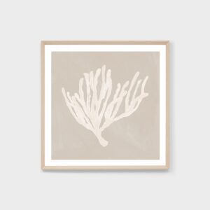 coral study sand 1 print