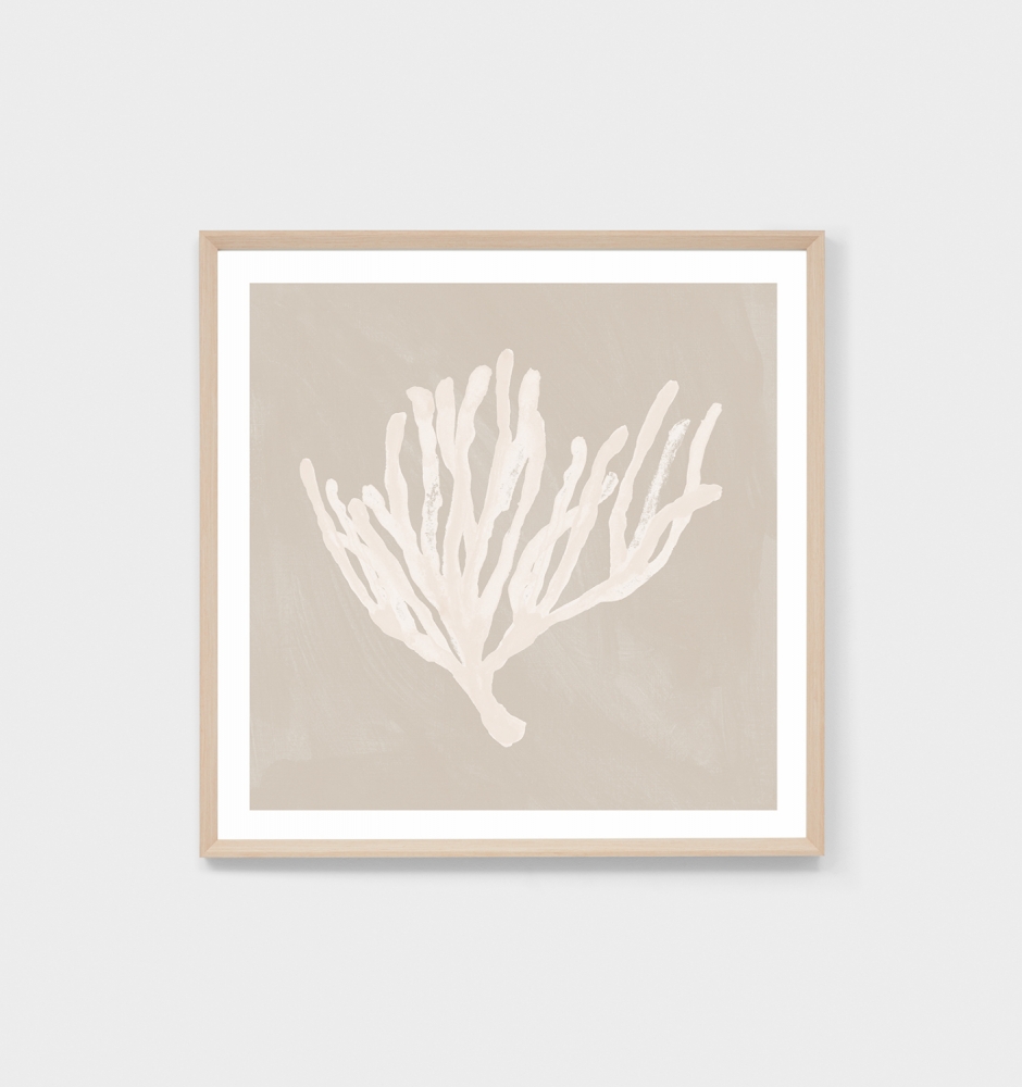 coral study sand 1 print